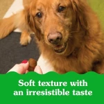 Greenies Pill Pockets for Dogs Large Size, Dog Treat Pouch for Capsule Medication, Peanut Butter Flavor, 15.8 oz. Pouch - Image 2