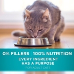 Purina ONE Natural Dry Cat Food, Tender Selects Blend With Real Chicken - 7 lb. Bag - Image 4