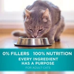Purina ONE Natural Dry Cat Food, Tender Selects Blend With Real Chicken - 7 lb. Bag - Image 4