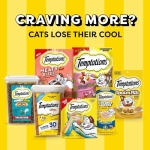 Temptations Cat Treats Classic Crunchy and Soft Cat Treats, Tasty Chicken Flavor, 30 oz. Tub - Image 2