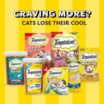 Temptations Cat Treats, Classic Crunchy and Soft Cat Treats, Catnip Fever Flavor, Catnip Treats, 30 oz. Tub - Image 2