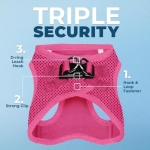 Best Pet Supplies Voyager Step-in Air Harness - All Weather Mesh, Reflective, No Pull Harness for Dogs, Cats - Secure with Hook & Loop Fastener, Buckle, Double D-Rings - Fuchsia, S - Image 10