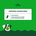 Greenies Pill Pockets for Dogs Large Size, Dog Treat Pouch for Capsule Medication, Peanut Butter Flavor, 15.8 oz. Pouch - Image 6