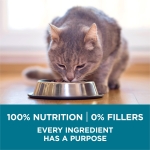 Purina ONE Natural Dry Cat Food, Tender Selects Blend With Real Chicken - 7 lb. Bag - Image 7