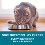 Purina ONE Natural Dry Cat Food, Tender Selects Blend With Real Chicken - 7 lb. Bag - Image 7