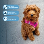 Best Pet Supplies Voyager Step-in Air Harness - All Weather Mesh, Reflective, No Pull Harness for Dogs, Cats - Secure with Hook & Loop Fastener, Buckle, Double D-Rings - Fuchsia, S - Image 9