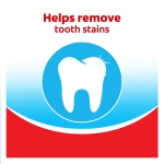 Colgate Extra Clean Toothbrush, Soft Toothbrush for Adults, 6 Count (Pack of 1) - Image 4
