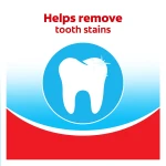 Colgate Extra Clean Toothbrush, Soft Toothbrush for Adults, 6 Count (Pack of 1) - Image 4