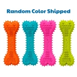 ASPCA 2-Pack Spiky TPR Bone Dog Toys – Vanilla Scented Chew Bones for Dental Health, Interactive Play & Enrichment - Image 2