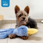 Best Pet Supplies Interactive Squeaky Dog Chew Toy, Ideal Dog Toys for Chewers, Small, Medium & Large Dogs, and Fetch Lovers - Crinkle Duck (Blue), Large - Image 2