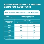 IAMS Proactive Health Indoor Weight Control & Hairball Care Adult Dry Cat Food, Chicken & Turkey Recipe, 22 lb. Bag - Image 3