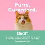 Kitty City Cat Bed, Cotton, 14"W x 19"L x 5"H - Image 2
