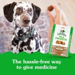 Greenies Pill Pockets for Dogs Large Size, Dog Treat Pouch for Capsule Medication, Peanut Butter Flavor, 15.8 oz. Pouch - Image 9