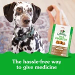 Greenies Pill Pockets for Dogs Large Size, Dog Treat Pouch for Capsule Medication, Peanut Butter Flavor, 15.8 oz. Pouch - Image 9