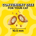 Temptations Cat Treats, Classic Crunchy and Soft Cat Treats, Catnip Fever Flavor, Catnip Treats, 30 oz. Tub - Image 5