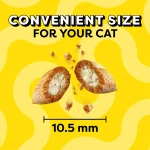 Temptations Cat Treats, Classic Crunchy and Soft Cat Treats, Catnip Fever Flavor, Catnip Treats, 30 oz. Tub - Image 5