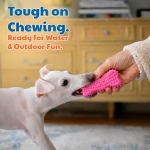 ASPCA 2-Pack Spiky TPR Bone Dog Toys – Vanilla Scented Chew Bones for Dental Health, Interactive Play & Enrichment - Image 5