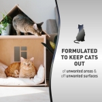 Nature's Miracle Advanced Platinum Cat Pet Block Repellent Spray, 8 Ounces, Indoor Training Aid for Cats - Image 9