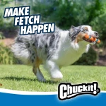 Chuckit! Interactive Dog Toy Ultra Fetch Stick - 12 Inch Outdoor Dog Toy for All Breed Sizes - Image 6