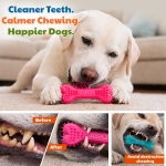 ASPCA 2-Pack Spiky TPR Bone Dog Toys – Vanilla Scented Chew Bones for Dental Health, Interactive Play & Enrichment - Image 3