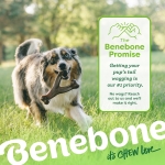 Benebone Wishbone Durable Dog Chew Toy for Aggressive Chewers, Real Bacon, Made in USA, Medium - Image 2