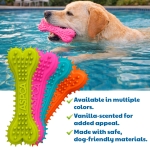 ASPCA 2-Pack Spiky TPR Bone Dog Toys – Vanilla Scented Chew Bones for Dental Health, Interactive Play & Enrichment - Image 6