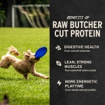 Vital Essentials Freeze Dried Dog Treats | Beef Liver, Single Ingredient | Premium Quality | Grain Free Training Treats for Dogs, 2.1 oz Bag - Image 6