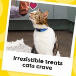 Temptations Cat Treats Classic Crunchy and Soft Cat Treats, Tasty Chicken Flavor, 30 oz. Tub - Image 5