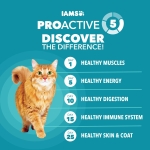 IAMS Proactive Health Indoor Weight Control & Hairball Care Adult Dry Cat Food, Chicken & Turkey Recipe, 22 lb. Bag - Image 8