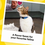 Temptations Cat Treats, Classic Crunchy and Soft Cat Treats, Catnip Fever Flavor, Catnip Treats, 30 oz. Tub - Image 4