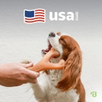 Benebone Wishbone Durable Dog Chew Toy for Aggressive Chewers, Real Bacon, Made in USA, Medium - Image 3