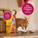 Meow Mix Gravy Bursts Dry Cat Food, Chicken, 3 LB Bag - Image 6